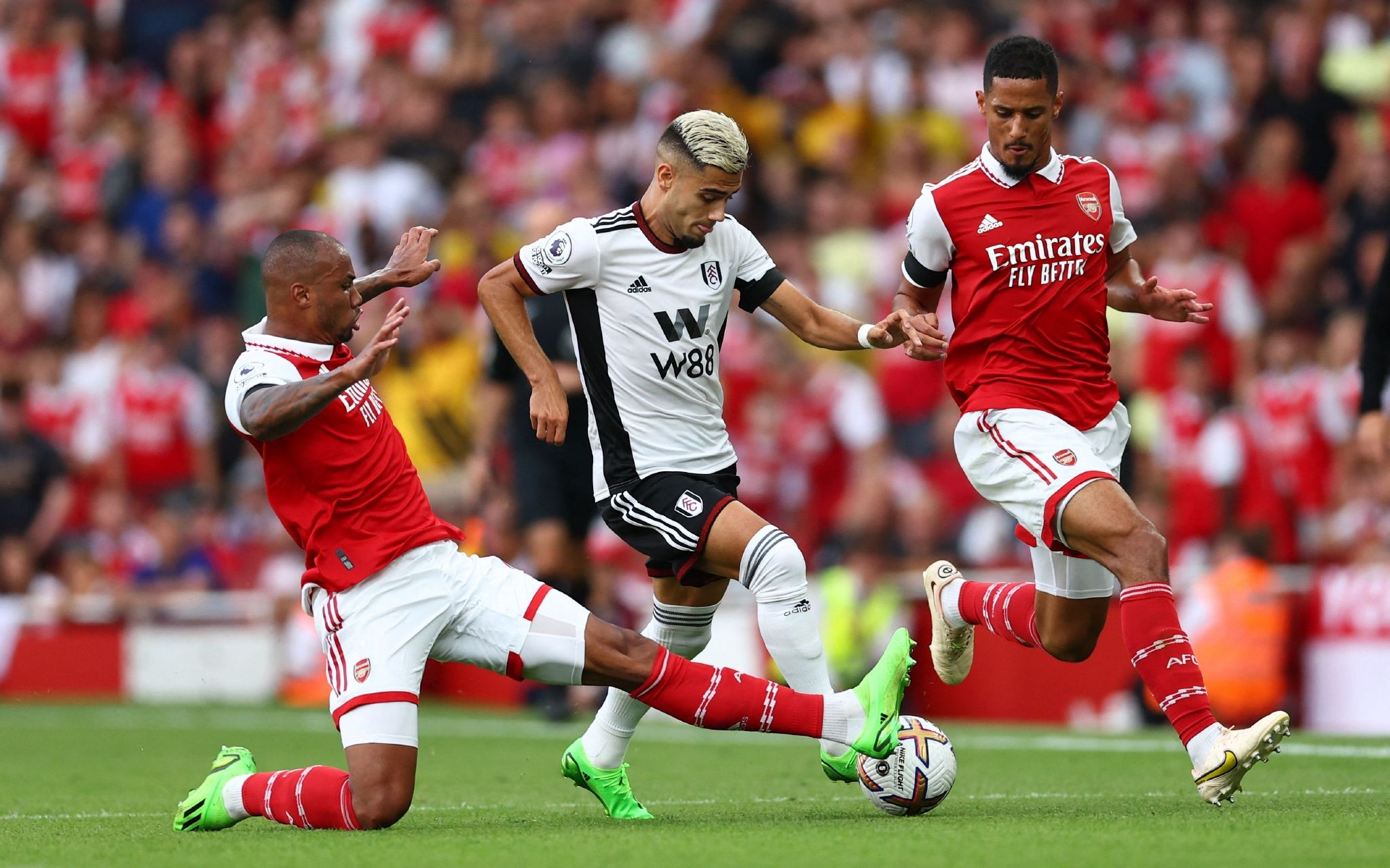 现出他们的 现出他们的